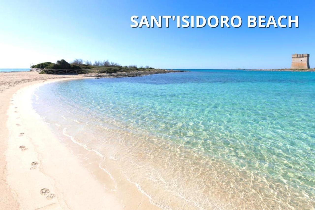 Delfino - Ampio Appartamento A 40 Metri Dalla Spiaggia Lido Conchiglia エクステリア 写真